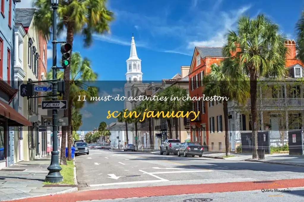 things to do in charleston sc in january