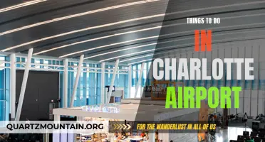 Exploring Charlotte Airport: Activities and Attractions for Travelers