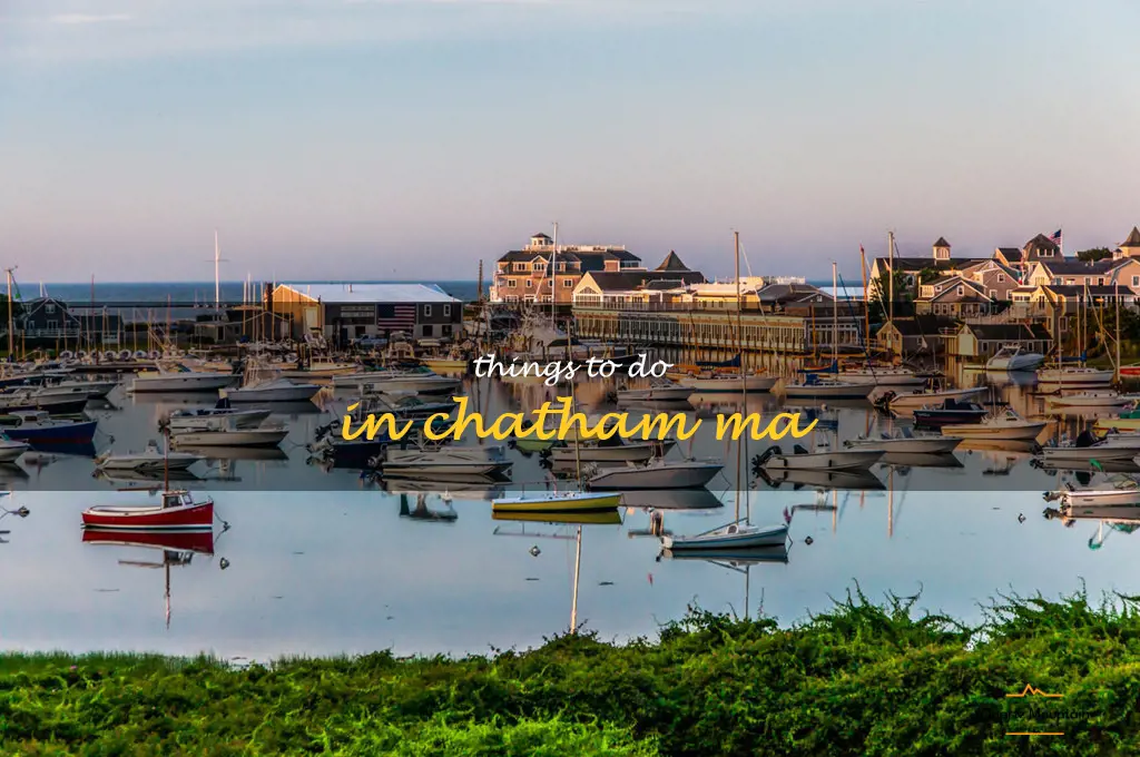 things to do in chatham ma