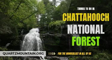 14 Breathtaking Activities in Chattahoochee National Forest