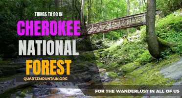 12 must-do adventures in Cherokee National Forest