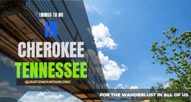 12 Must-Do Activities in Cherokee, Tennessee