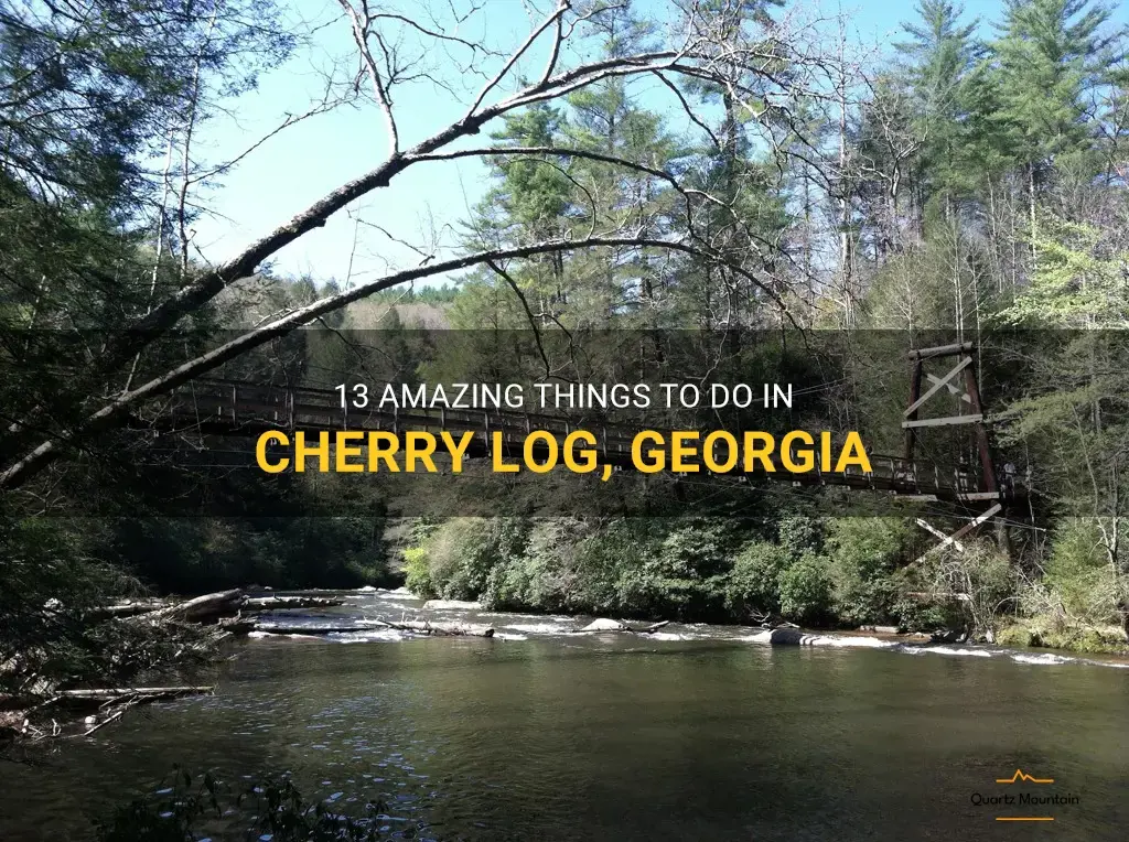 things to do in cherry log georgia