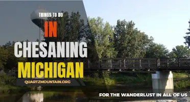 12 Fun Things to Do in Chesaning, Michigan