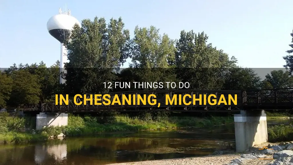things to do in chesaning michigan