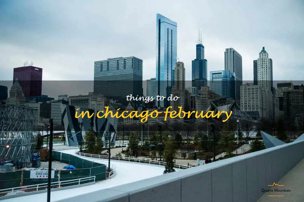 things to do in chicago february
