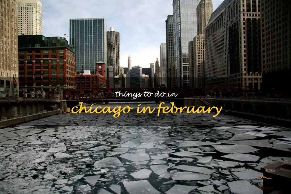 things to do in chicago in february
