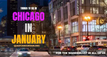 13 Fun and Exciting Things to Do in Chicago in January