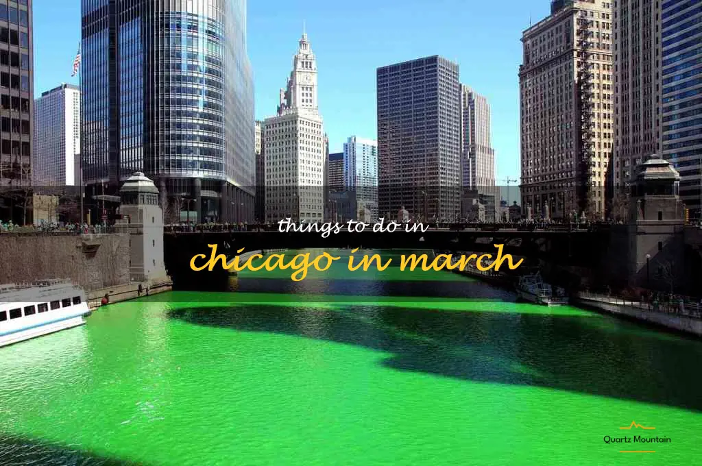 things to do in chicago in march