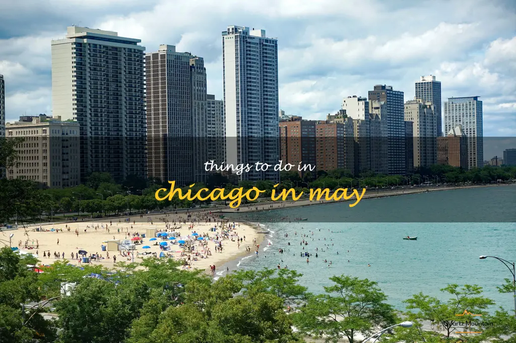 things to do in chicago in may
