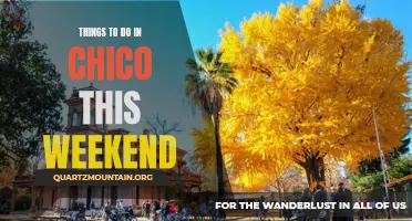 12 Exciting Activities to Enjoy in Chico This Weekend