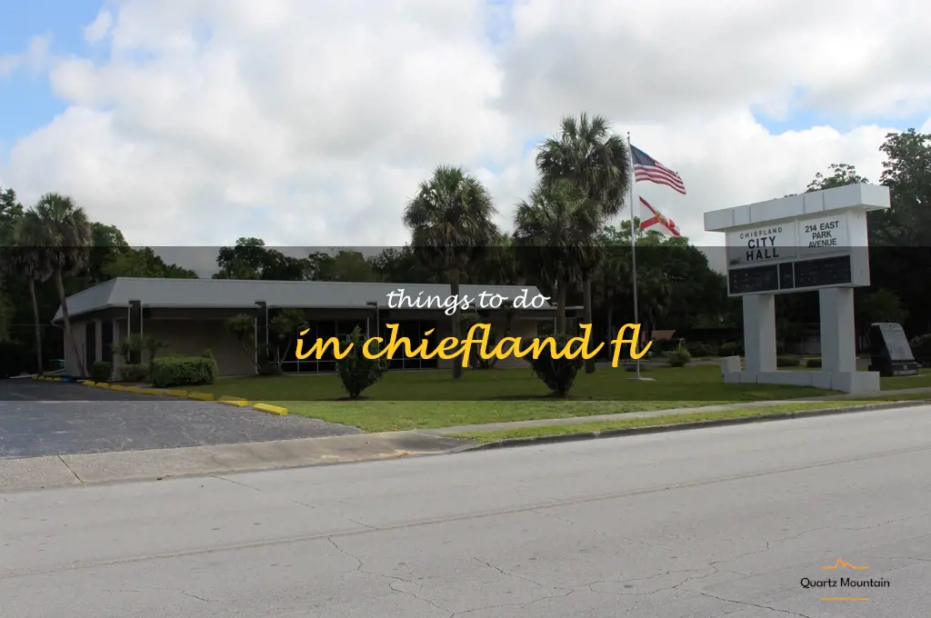 things to do in chiefland fl