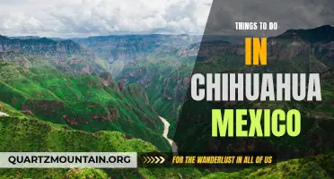 14 Exciting Things to Do in Chihuahua, Mexico!