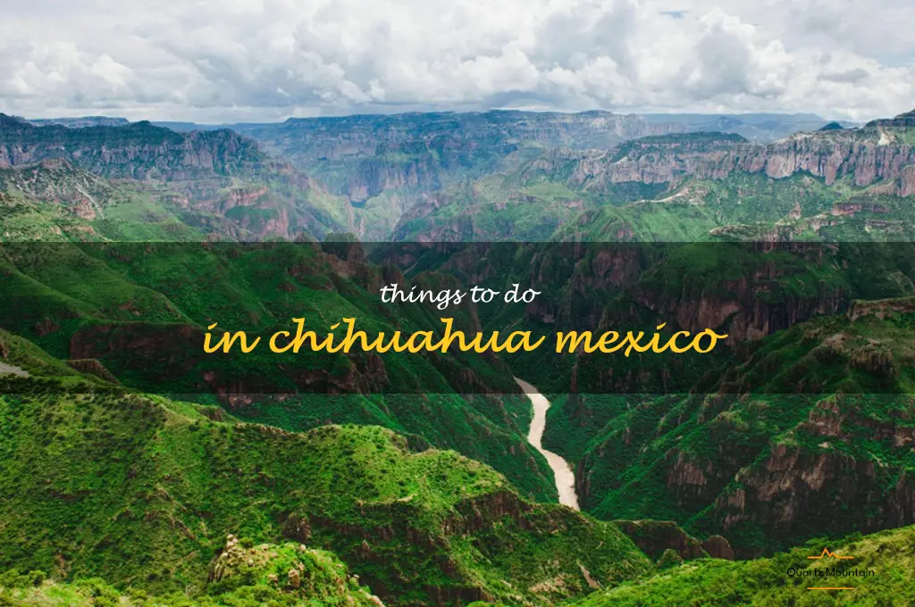 things to do in chihuahua mexico