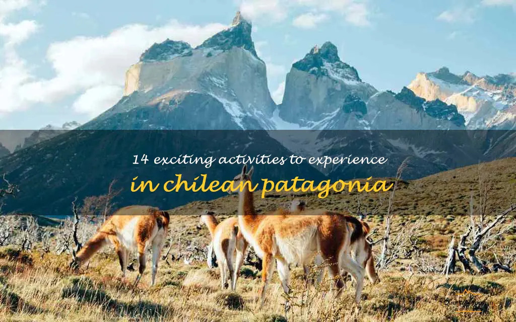 things to do in chilean patagonia