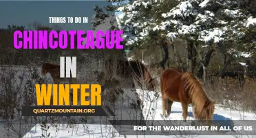 10 Fun Winter Activities to Experience in Chincoteague