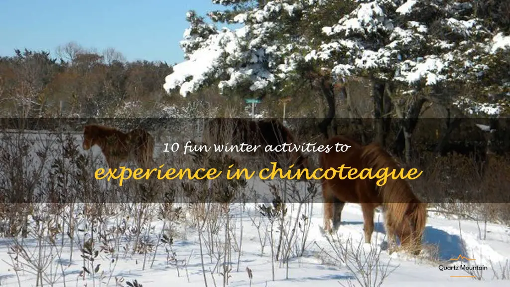 things to do in chincoteague in winter