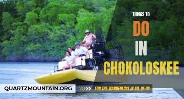 Exploring Chokoloskee: Unmissable Activities and Attractions