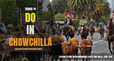 13 Top Things to Do in Chowchilla for a Fun-Filled Vacation