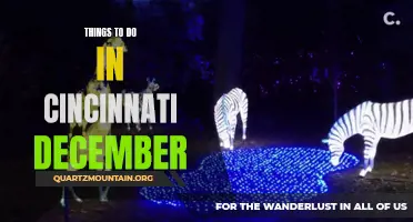 10 Festive Activities to Enjoy in Cincinnati During December