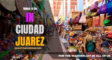 10 Fun Activities to Experience in Ciudad Juarez!