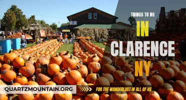 12 Must-Do Activities in Clarence, NY
