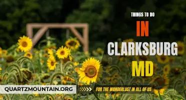 12 Must-See Attractions and Activities in Clarksburg MD