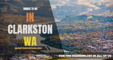 12 Exciting Activities to Experience in Clarkston WA