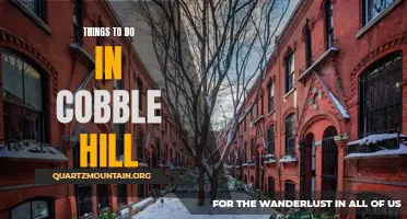 10 Things to Explore in Cobble Hill