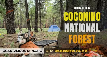 12 Must-Try Activities in Coconino National Forest