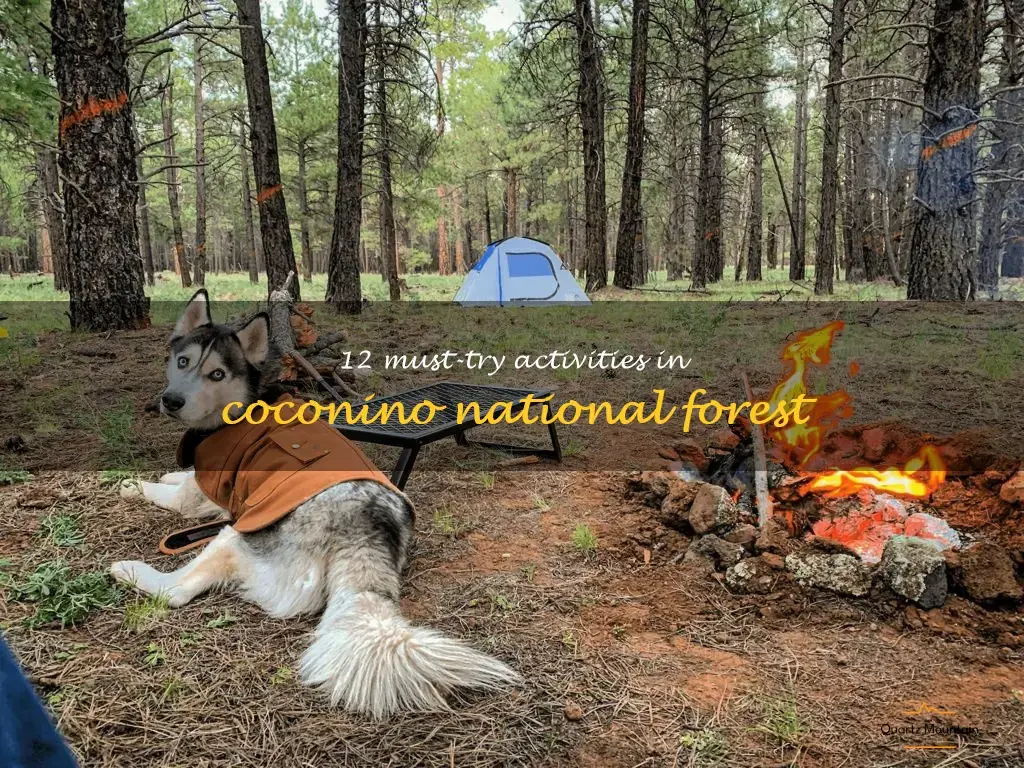 things to do in coconino national forest