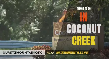 12 Fun Things to Do in Coconut Creek