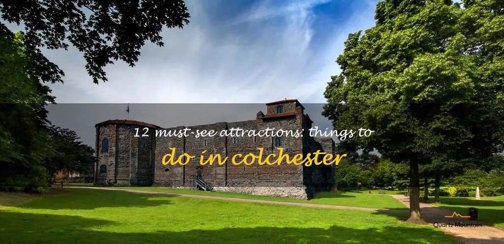 things to do in colchester