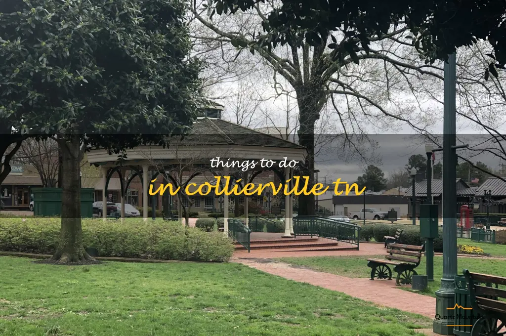 things to do in collierville tn