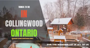 Top 10 Must-Do Activities in Collingwood, Ontario for an Unforgettable Experience