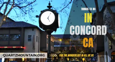 12 Fun and Exciting Things to Do in Concord, CA