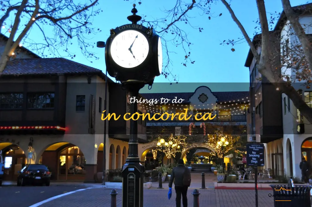 things to do in concord ca