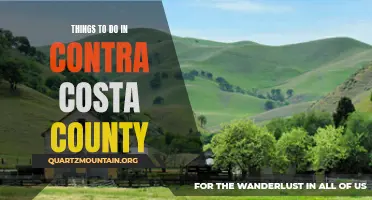 12 Fun Activities to Try in Contra Costa County