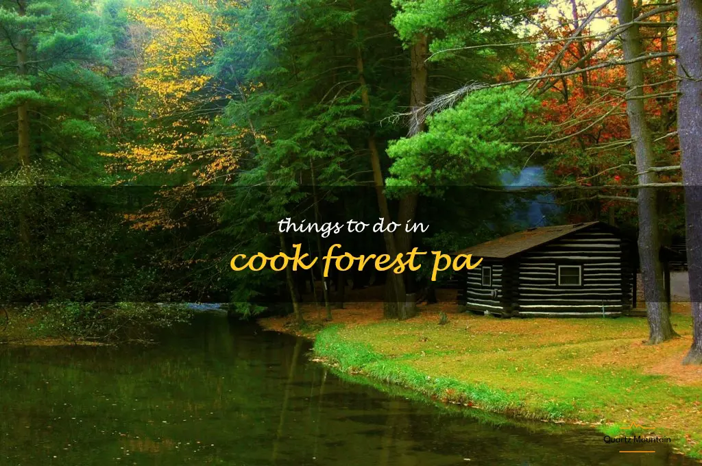 things to do in cook forest pa