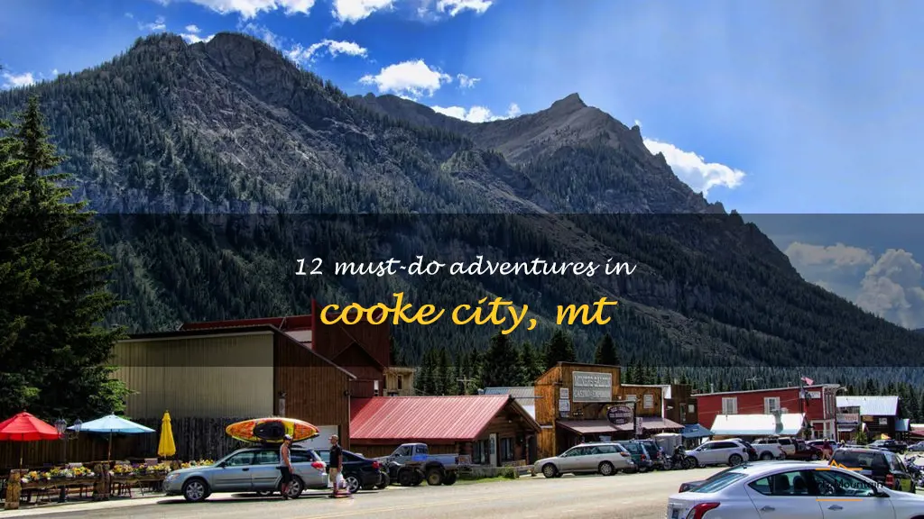 things to do in cooke city mt