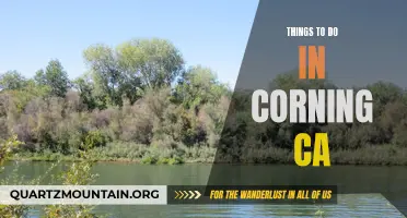 12 Must-Do Activities in Corning CA