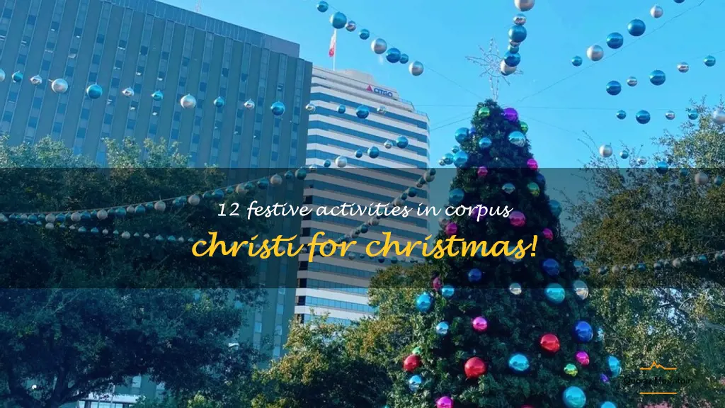 things to do in corpus christi for christmas