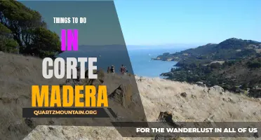 12 Exciting Activities to Experience in Corte Madera