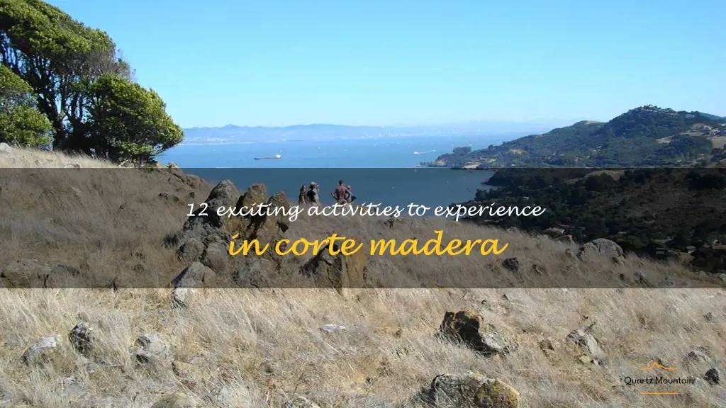 things to do in corte madera
