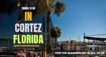 12 Fun Things to Do in Cortez, Florida