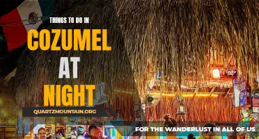 14 Exciting Things to Do in Cozumel at Night