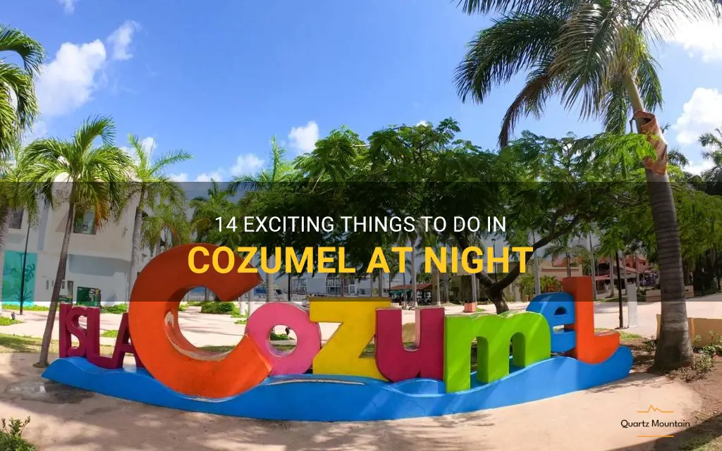 things to do in cozumel at night
