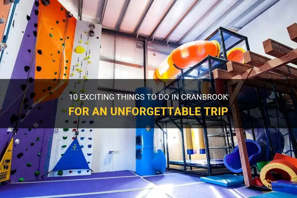 things to do in cranbrook