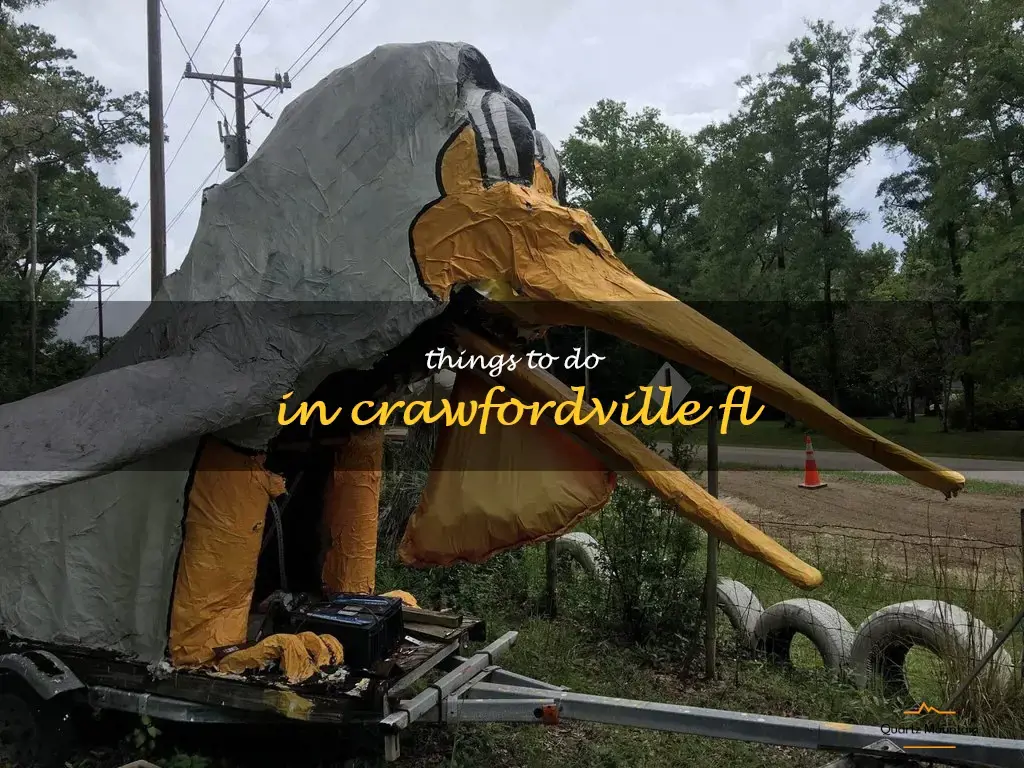 things to do in crawfordville fl