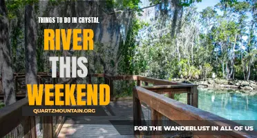 13 Fun Activities to Try in Crystal River This Weekend